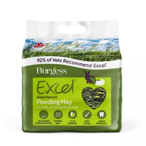 Burgess Green Harvest Hay