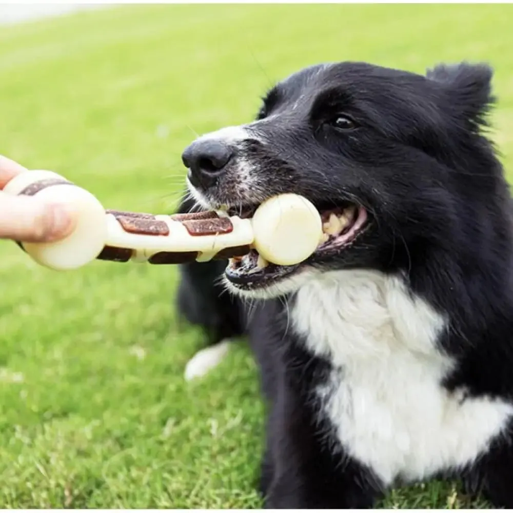 Durable Nylon Teeth Cleaning Beef Flavor Dog Chew Bone Toy for Aggressive Chewers