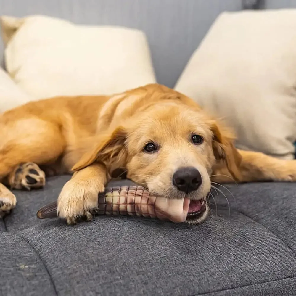 Durable Rubber Non-toxic Beef Flavor Dog Chew Toy for Aggressive Chewers for Small Medium Large Dogs