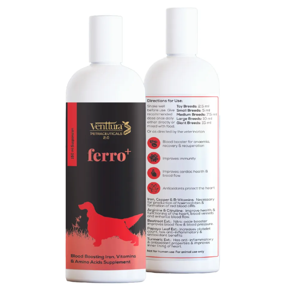 Venttura Ferro Plus Iron Supplements Syrup for Dogs