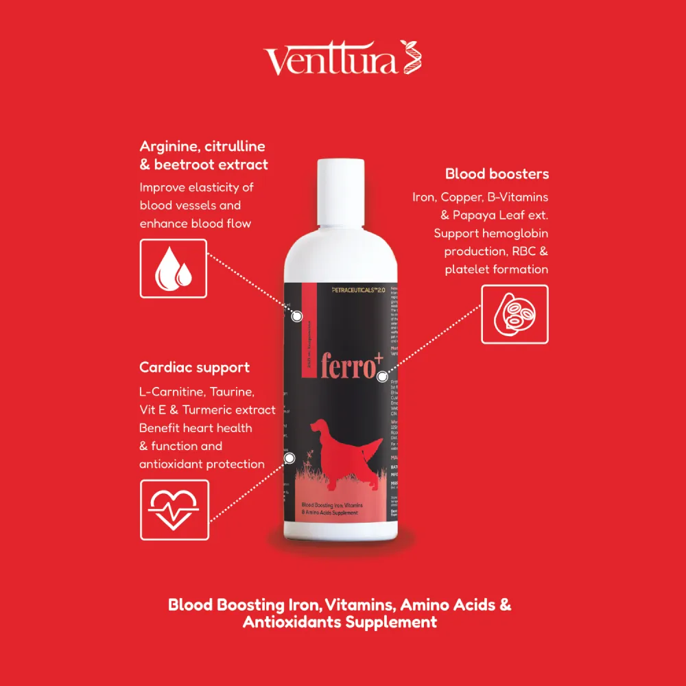 Venttura Ferro Plus Iron Supplements Syrup for Dogs