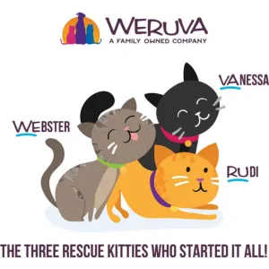 Weruva Truluxe Quick 'N Quirky With Chicken & Turkey In Gravy Canned Cat Food