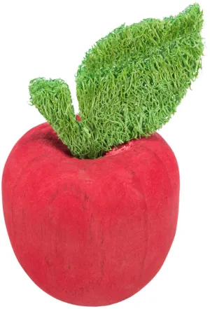 Wooden Apple Toy